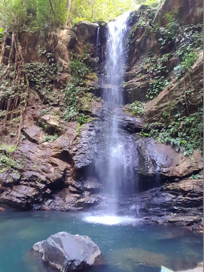 Avocat Waterfall