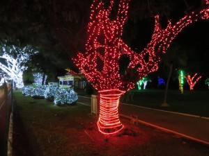 Christmas Lights at The Botanical Gardens, Port of Spain, Trinidad