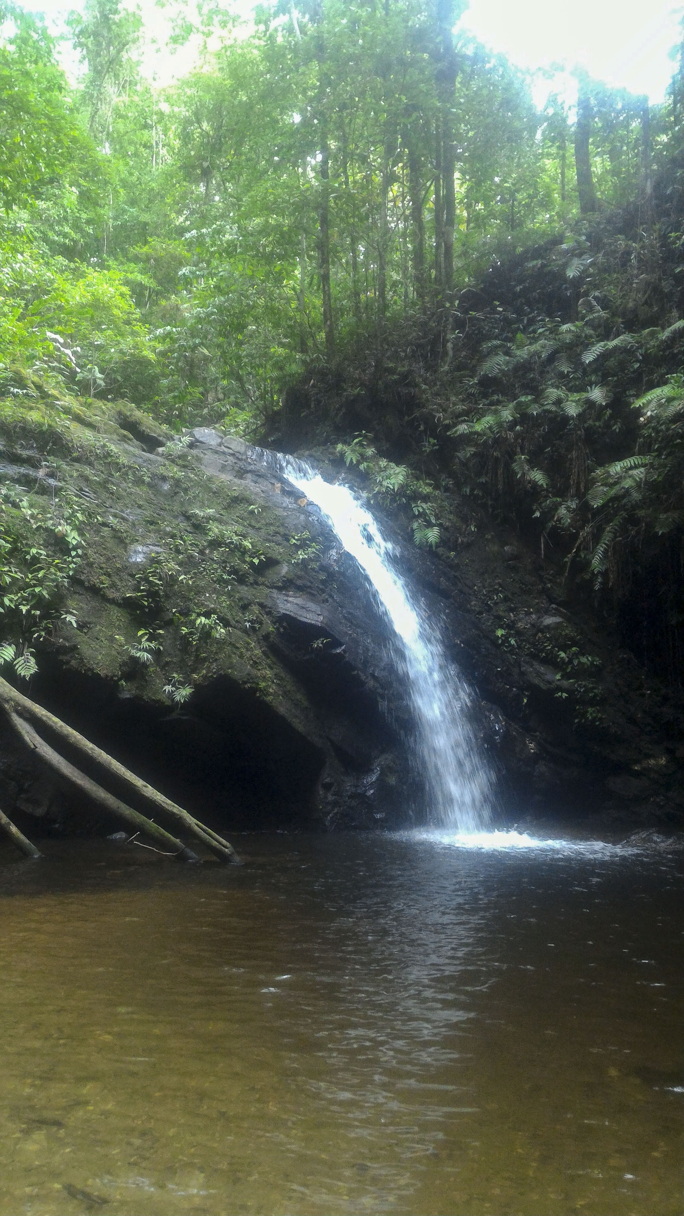 Homad & Lacatang Falls, Grand Riviere