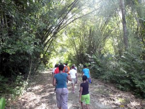 fs_covigne-river-trail-P1010025