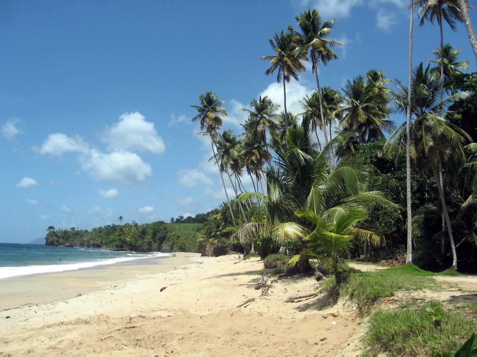 Marianne Beach, Blanchisseuse 