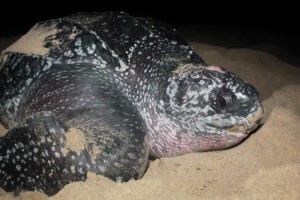 fs_nature-seekers-IMG_4699