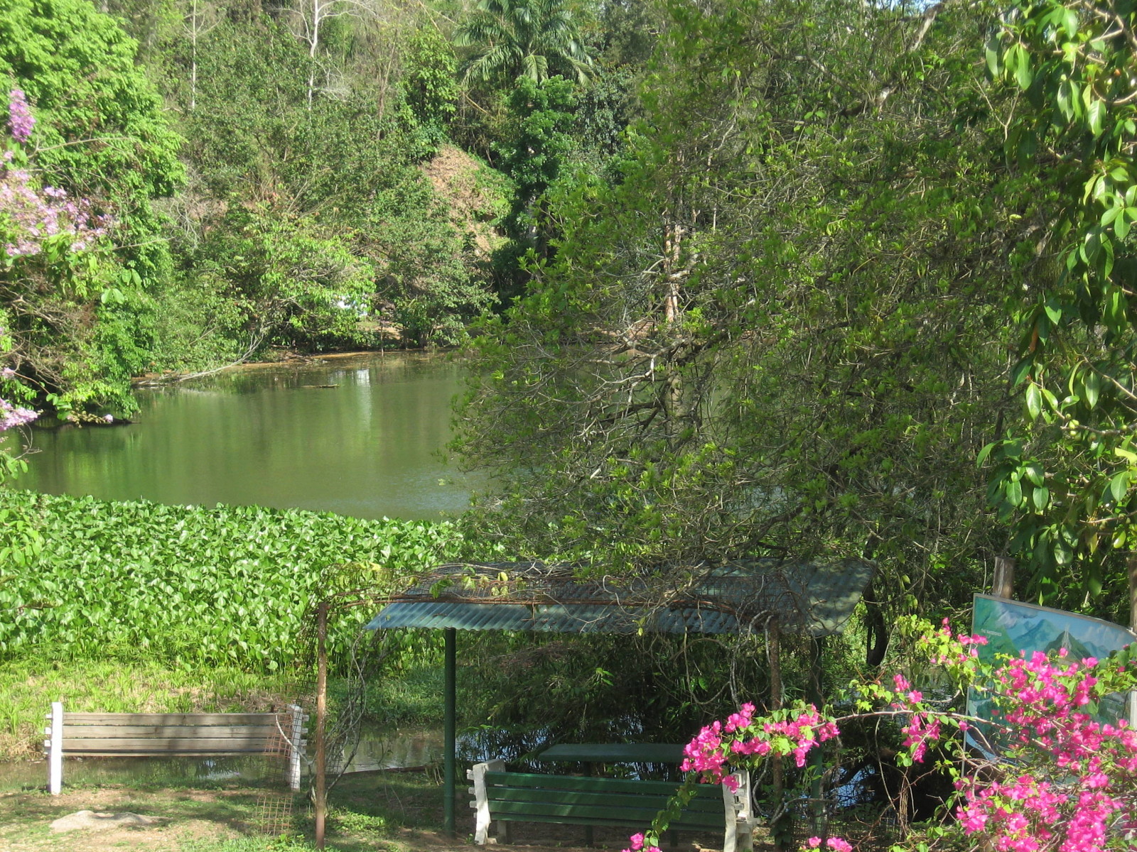 Lake at Point-A-Pierre Wild Fowl Trust
