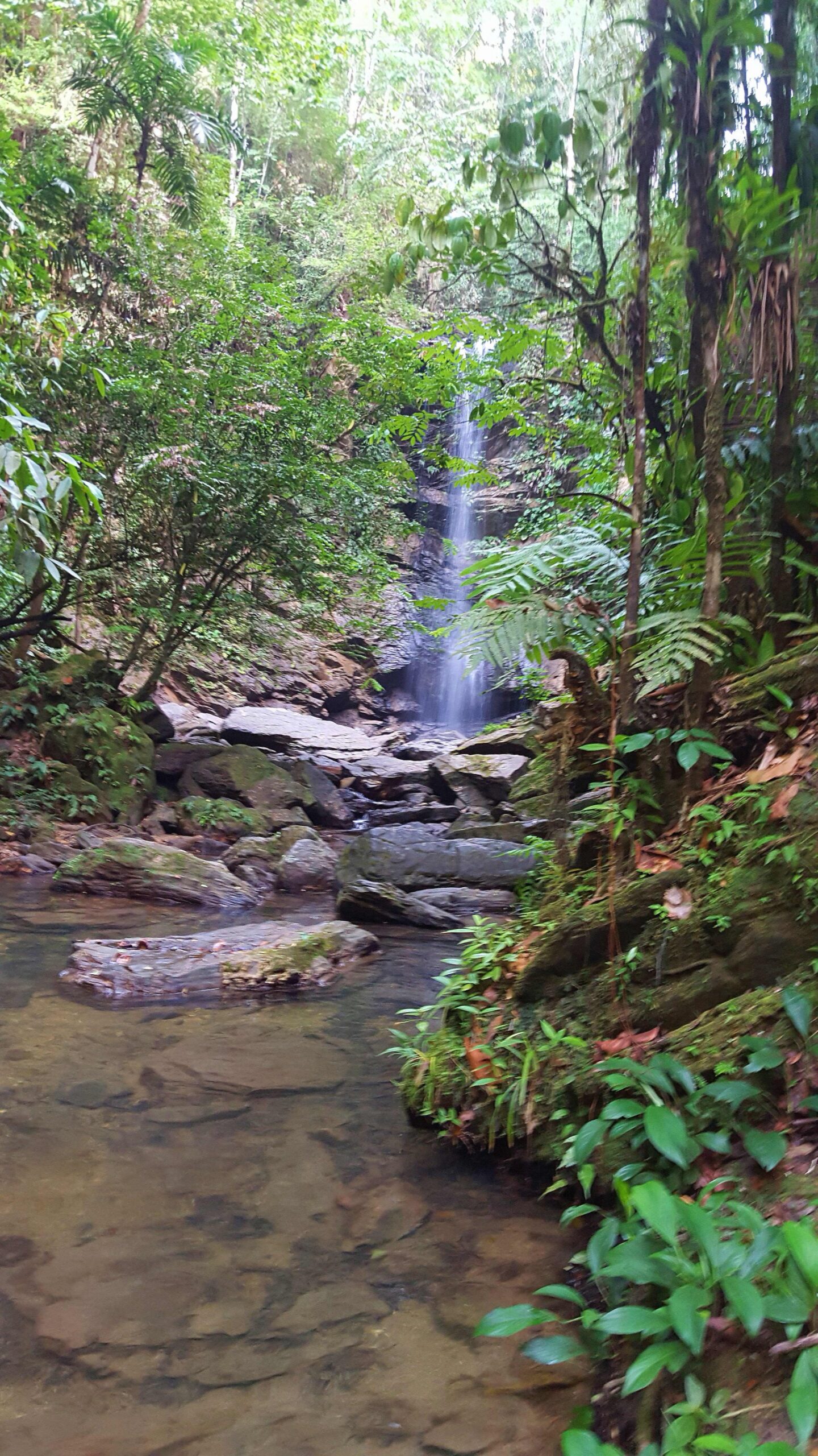 Avocat Waterfall