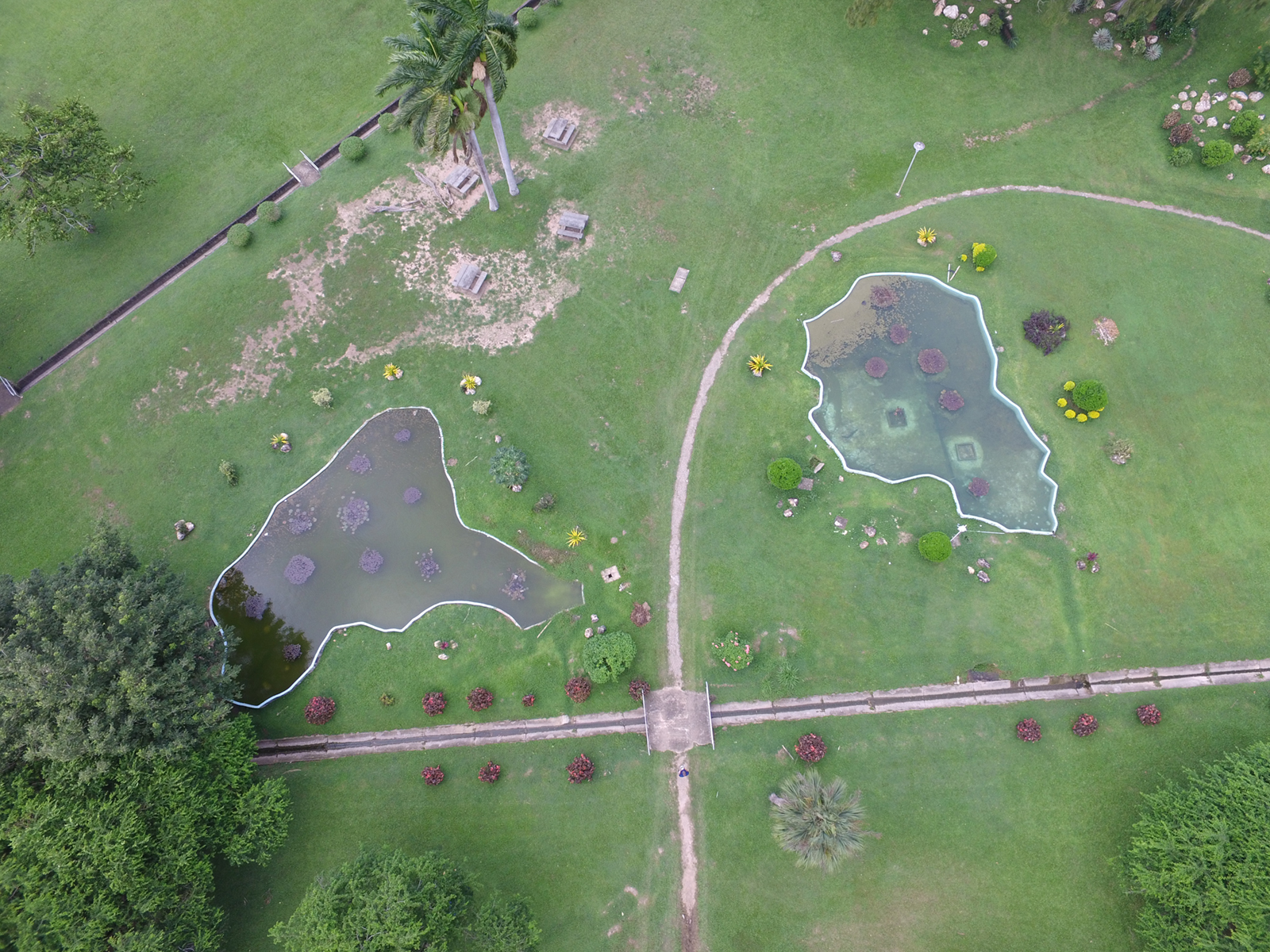 The Hollows, Queens Park Savannah Destination Trinidad and Tobago