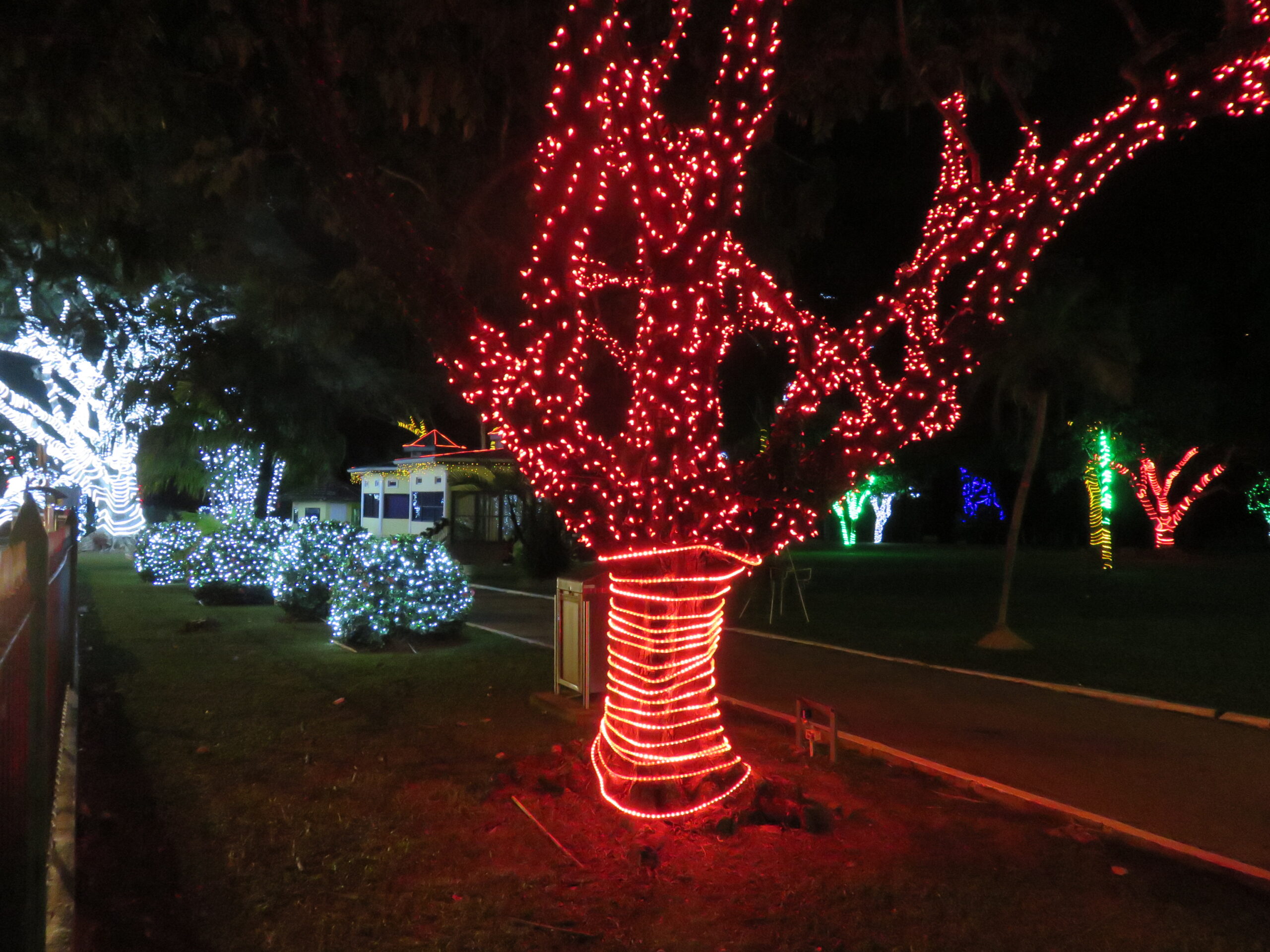 The Best Destinations in Trinidad to get into the spirit of Christmas