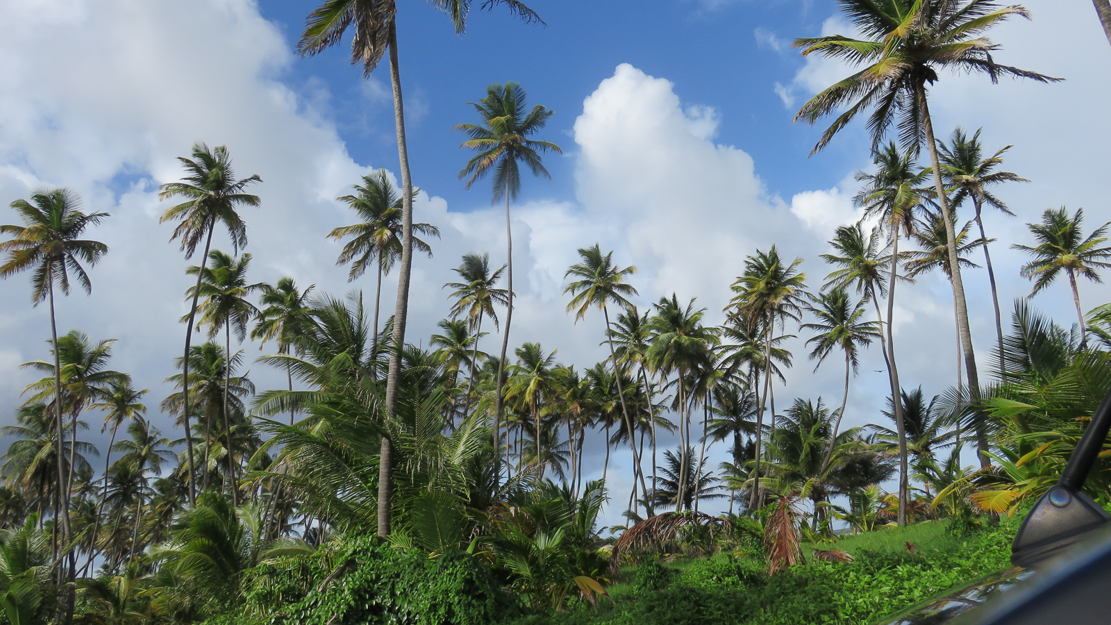 Manzanilla Beach Destination Trinidad And Tobago Tours Holidays manzanilla-beach-destination-trinidad-and-tobago-tours-holidays