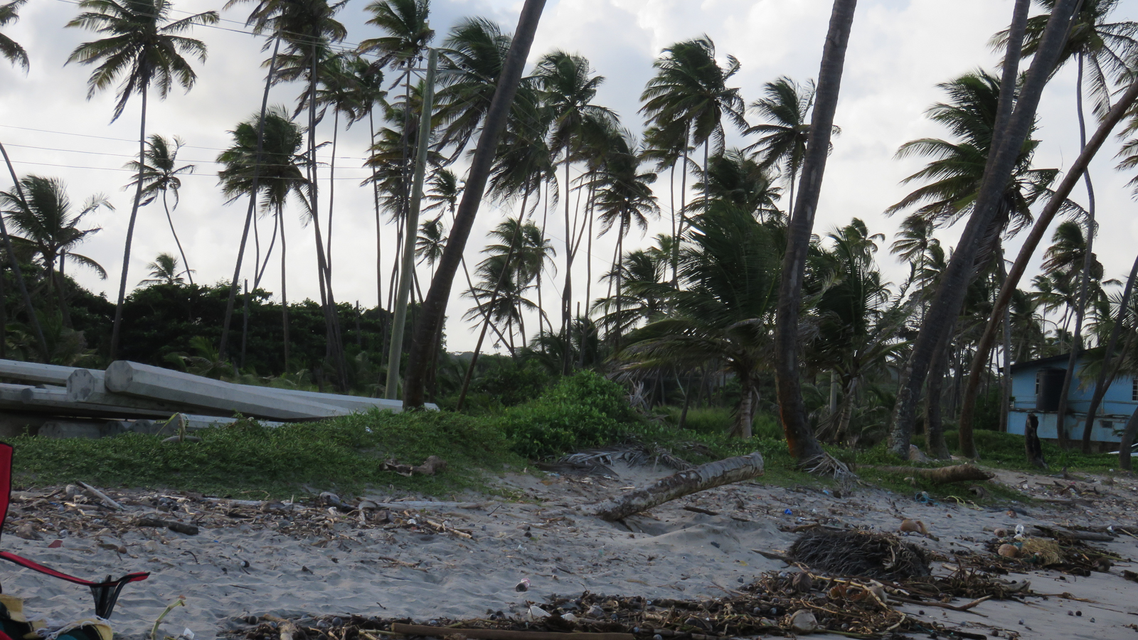 manzanilla-beach-destination-trinidad-and-tobago-tours-holidays