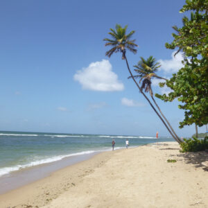 Salybia Beach, Trinidad