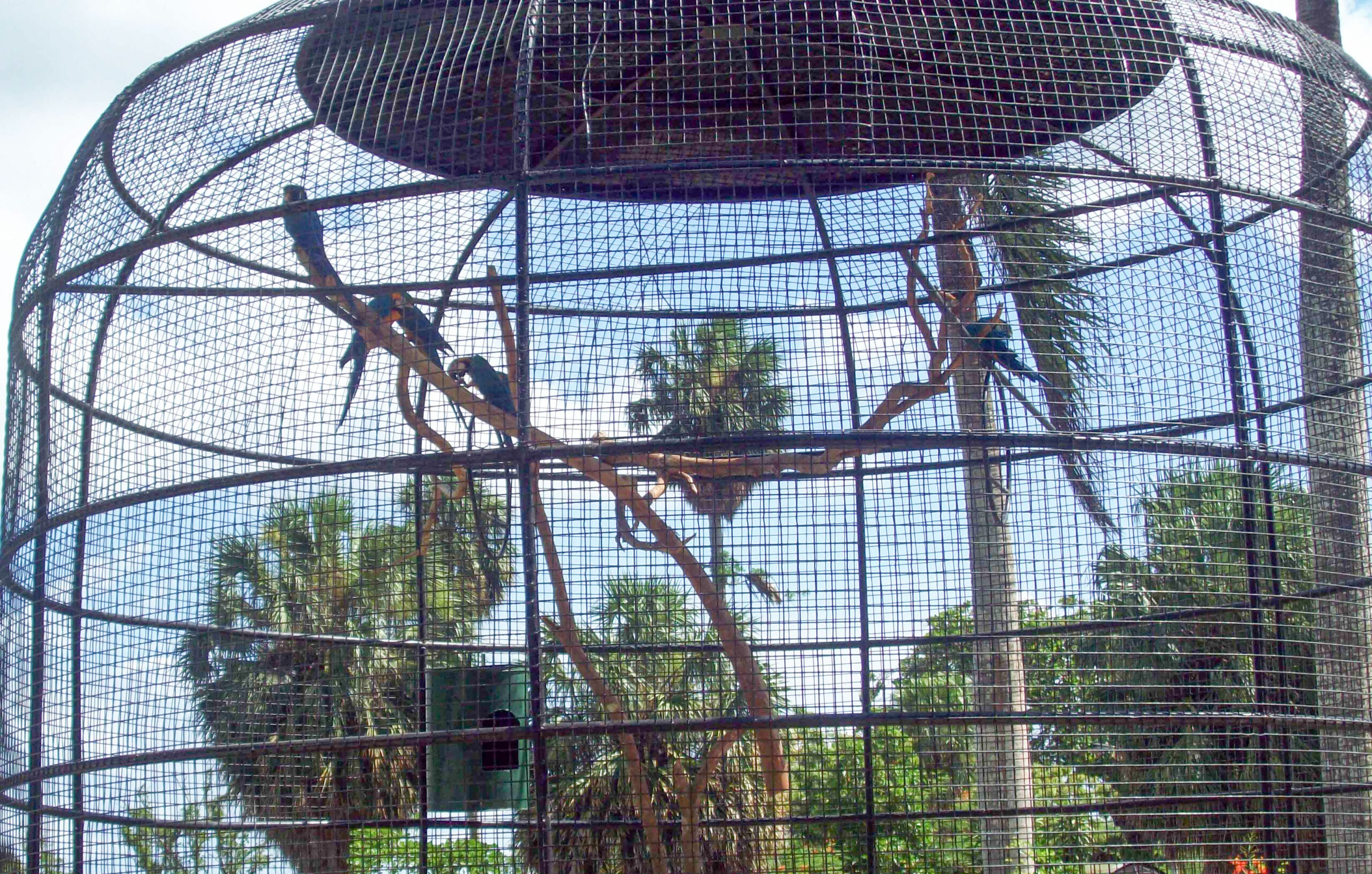 Emperor Valley Zoo Destination Trinidad and Tobago Tours, Holidays