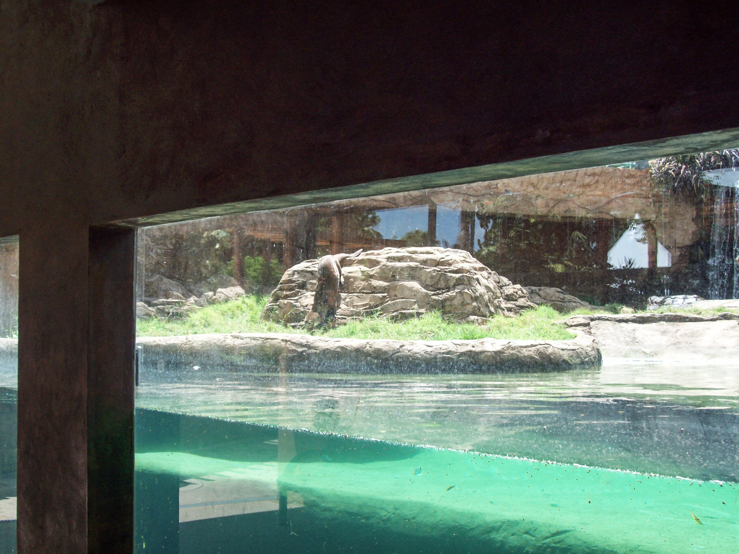 Emperor Valley Zoo Destination Trinidad and Tobago Tours, Holidays