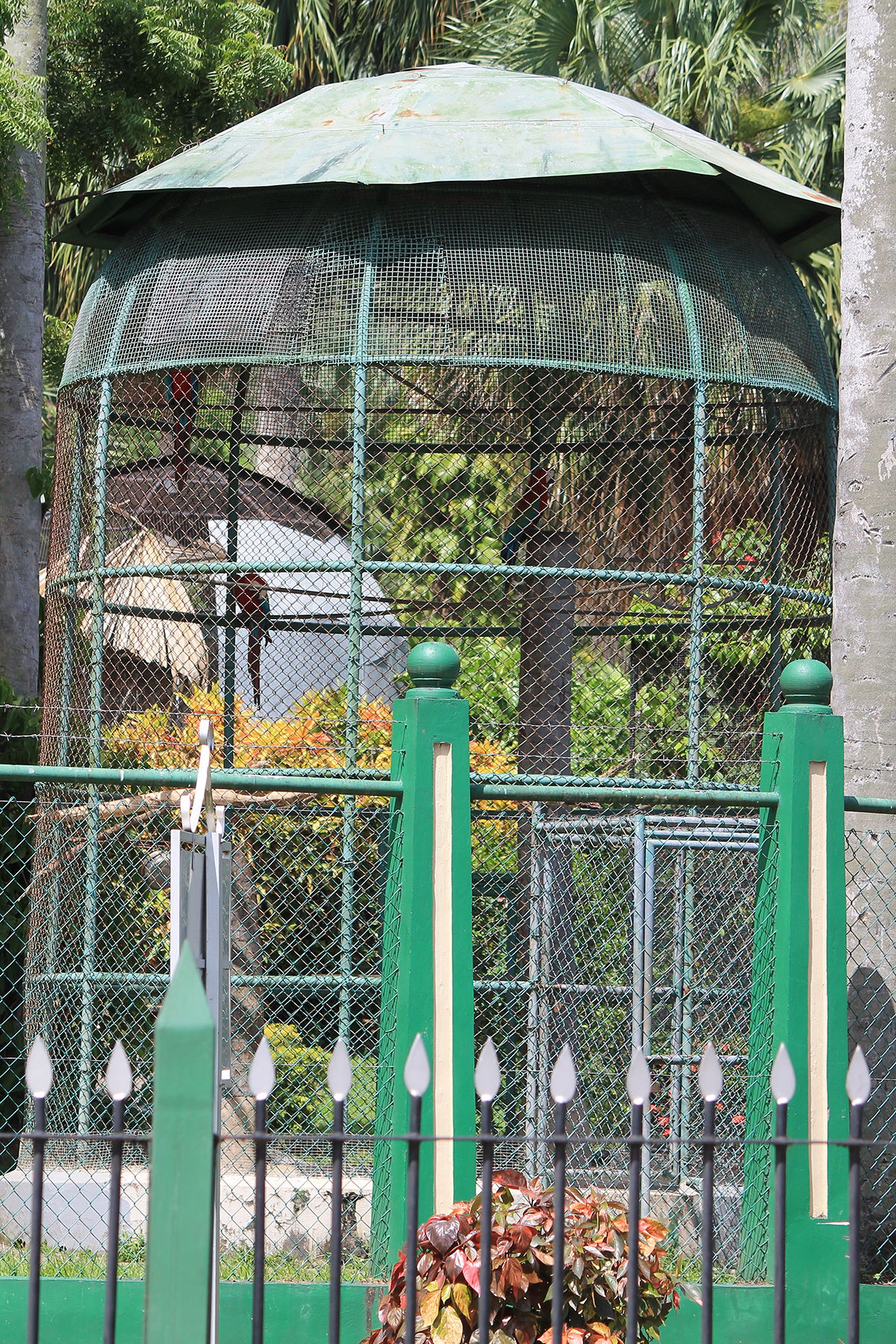 Emperor Valley Zoo Destination Trinidad and Tobago Tours, Holidays