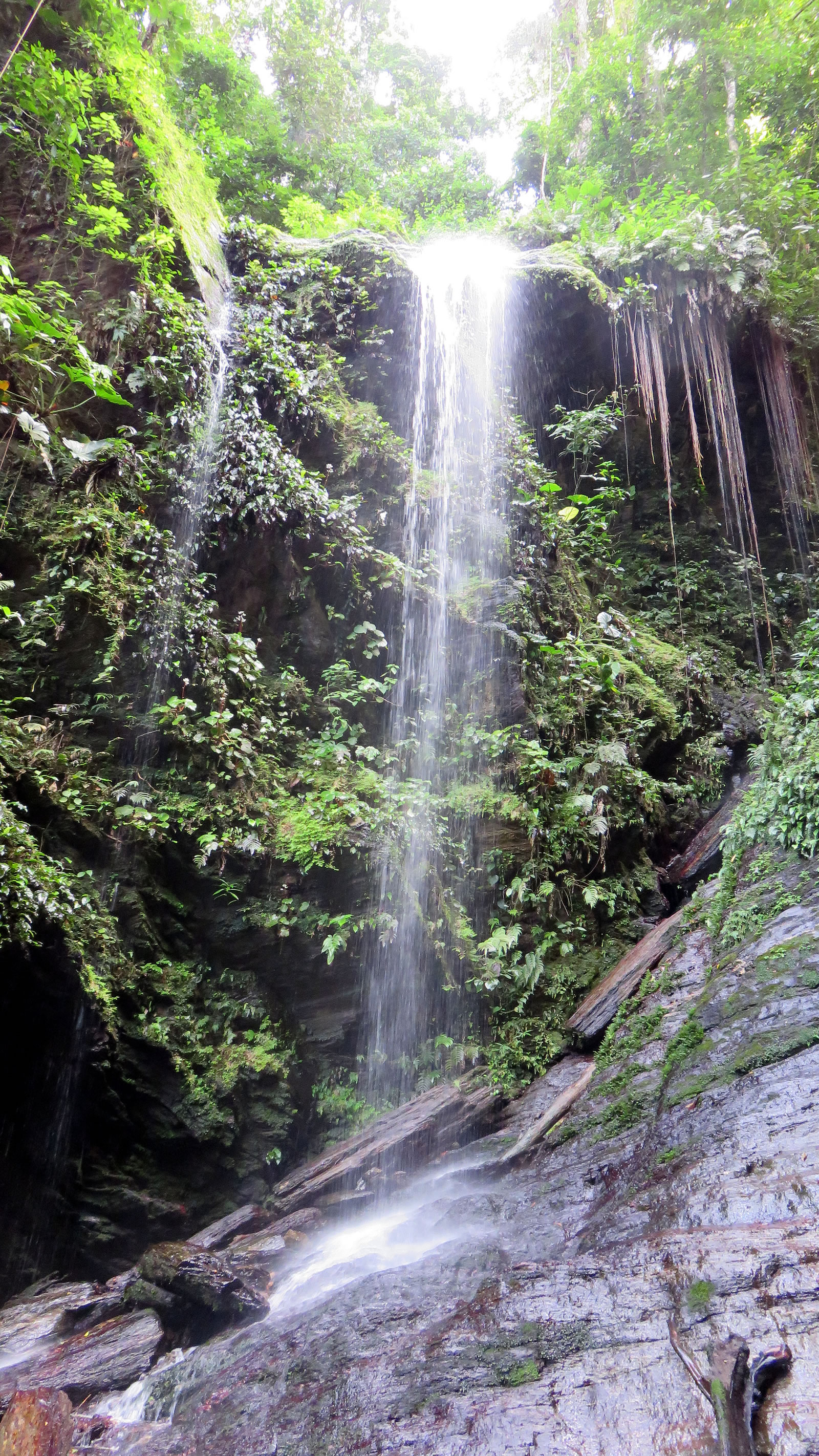 falls angel trinidad tobago