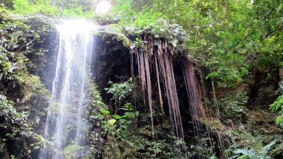 Angel Falls, North Coast, Trinidad