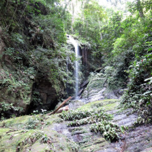 Angel Falls, North Coast, Trinidad