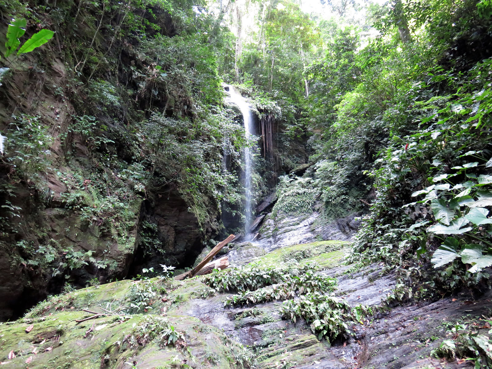 Angel Falls, North Coast, Trinidad