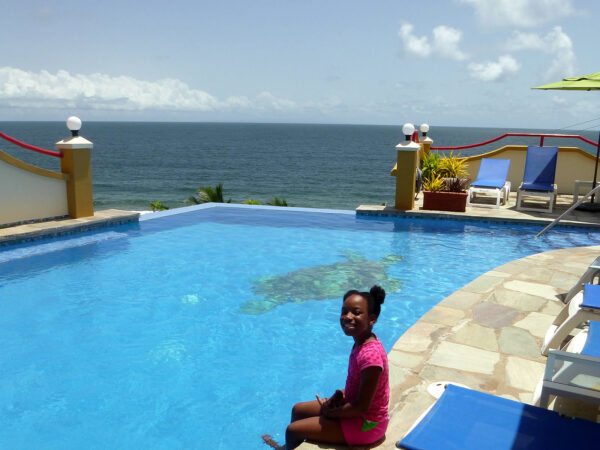 Trini Christmas Foods: Destination Trinidad and Tobago | Tours ...