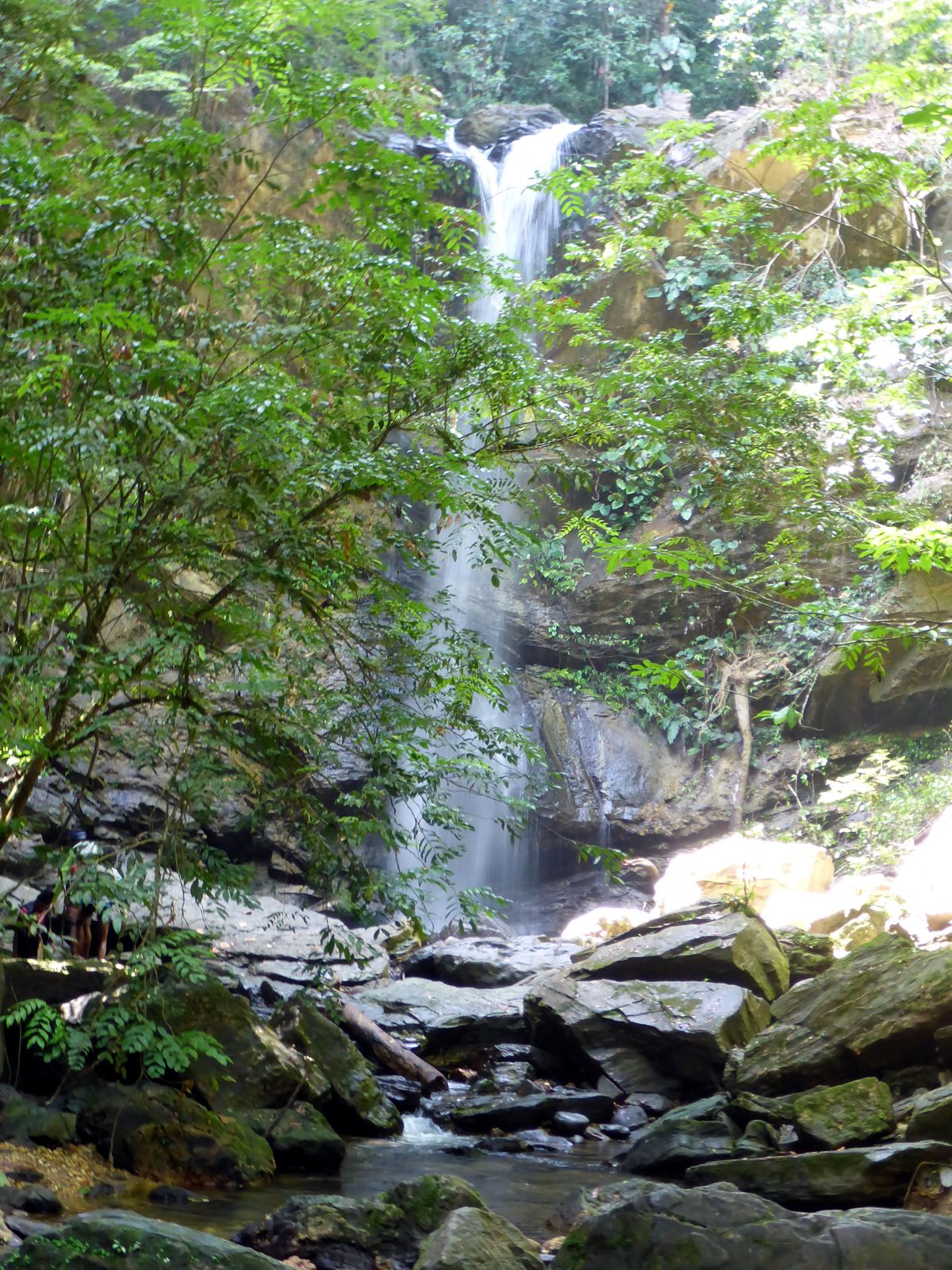 waterfall avocat trinidad tobago