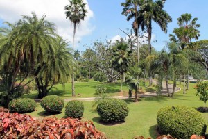 Botanic Gardens, Trinidad