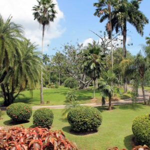 Botanic Gardens, Trinidad