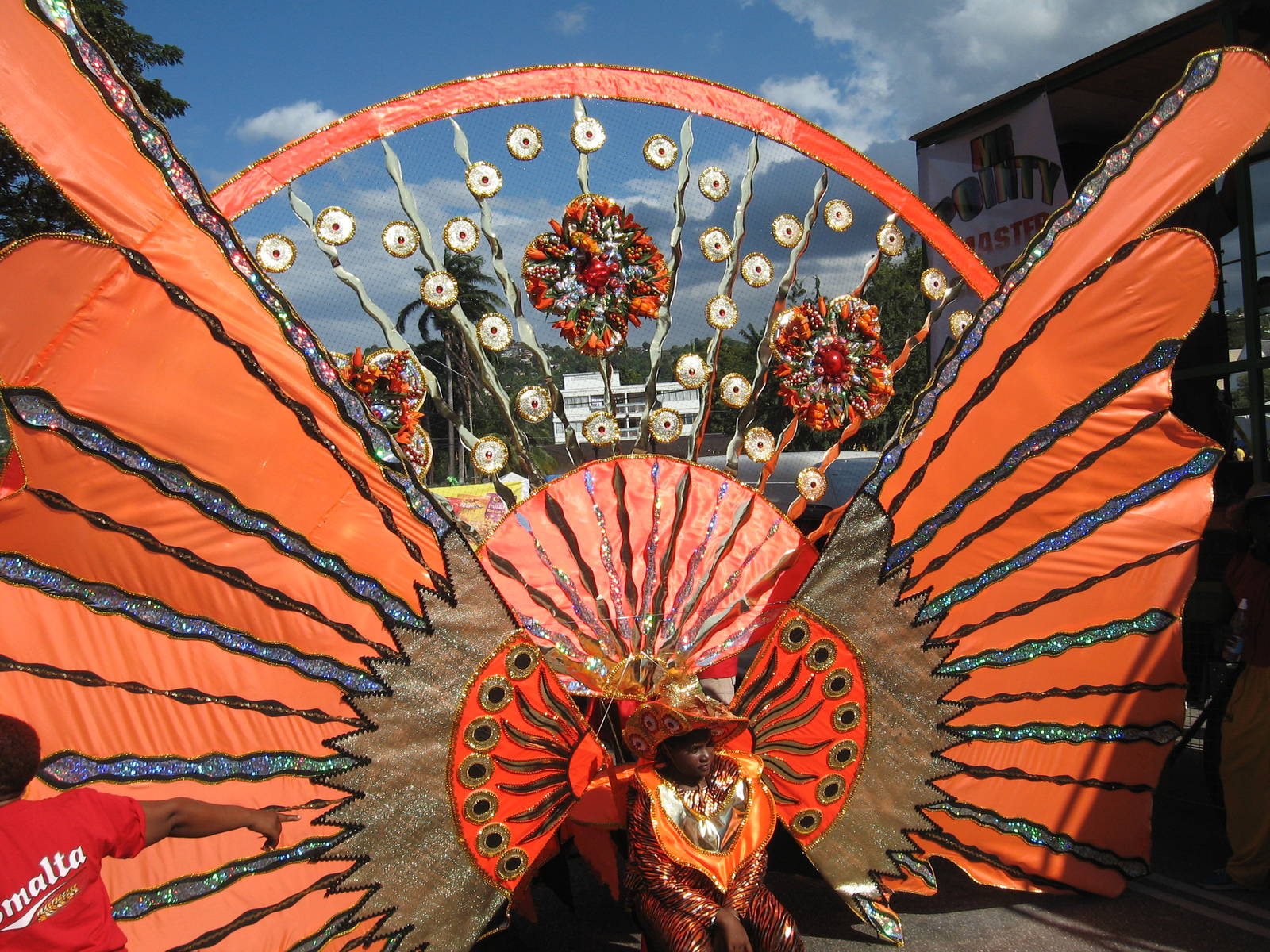 Elaborate Carnival costume at Trinidad Carnival