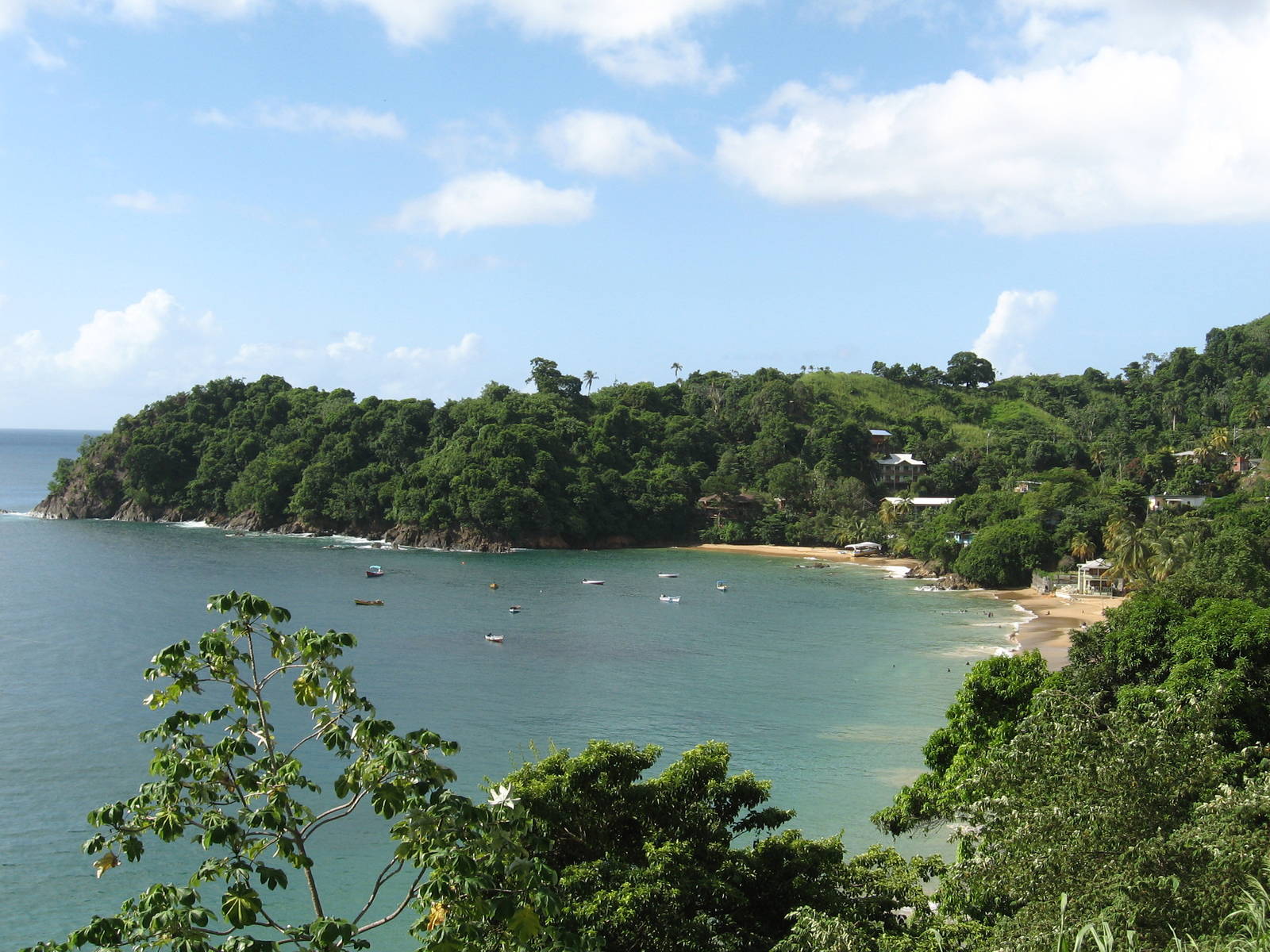 Castara Bay Destination Trinidad and Tobago Tours, Holidays