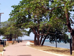 fs_chaguaramas-board-walk-IMG_20150423_102735