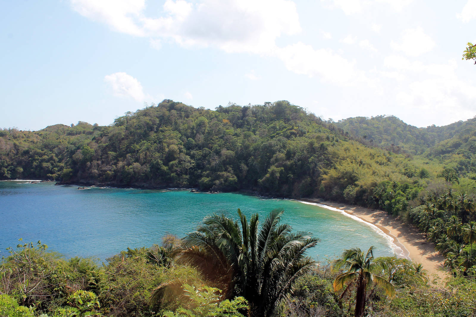 beaches to visit in tobago