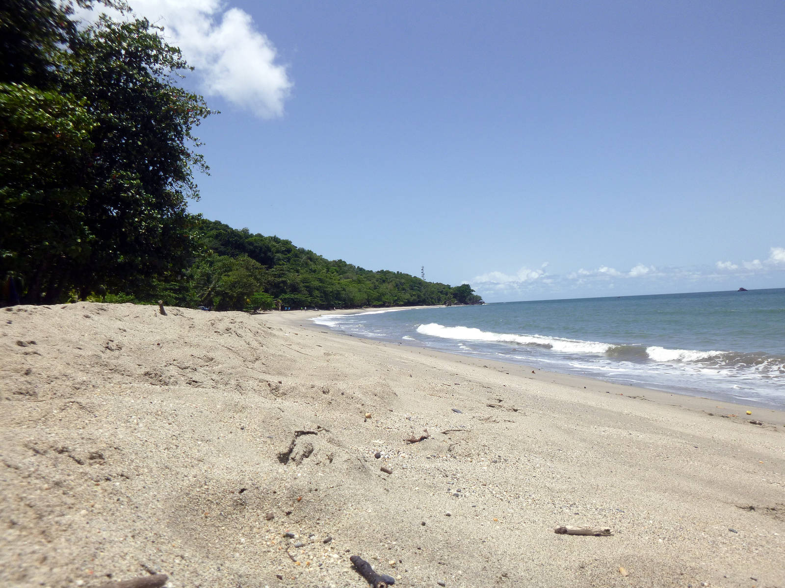 Grande Riviere Beach Destination Trinidad and Tobago Tours, Holidays, Vacations and Travel Guide
