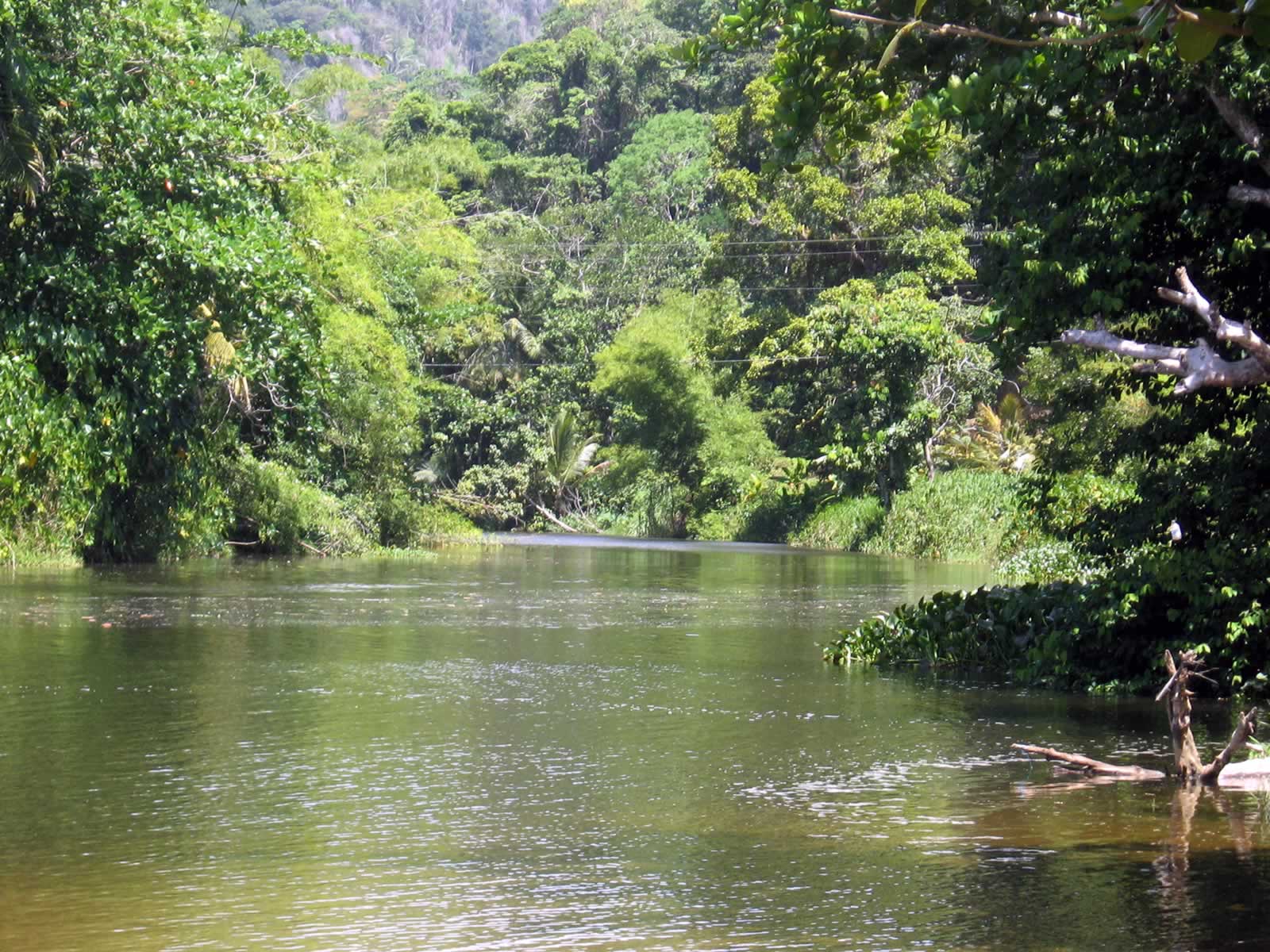 Marianne River Destination Trinidad and Tobago Tours, Holidays, Vacations and Travel Guide