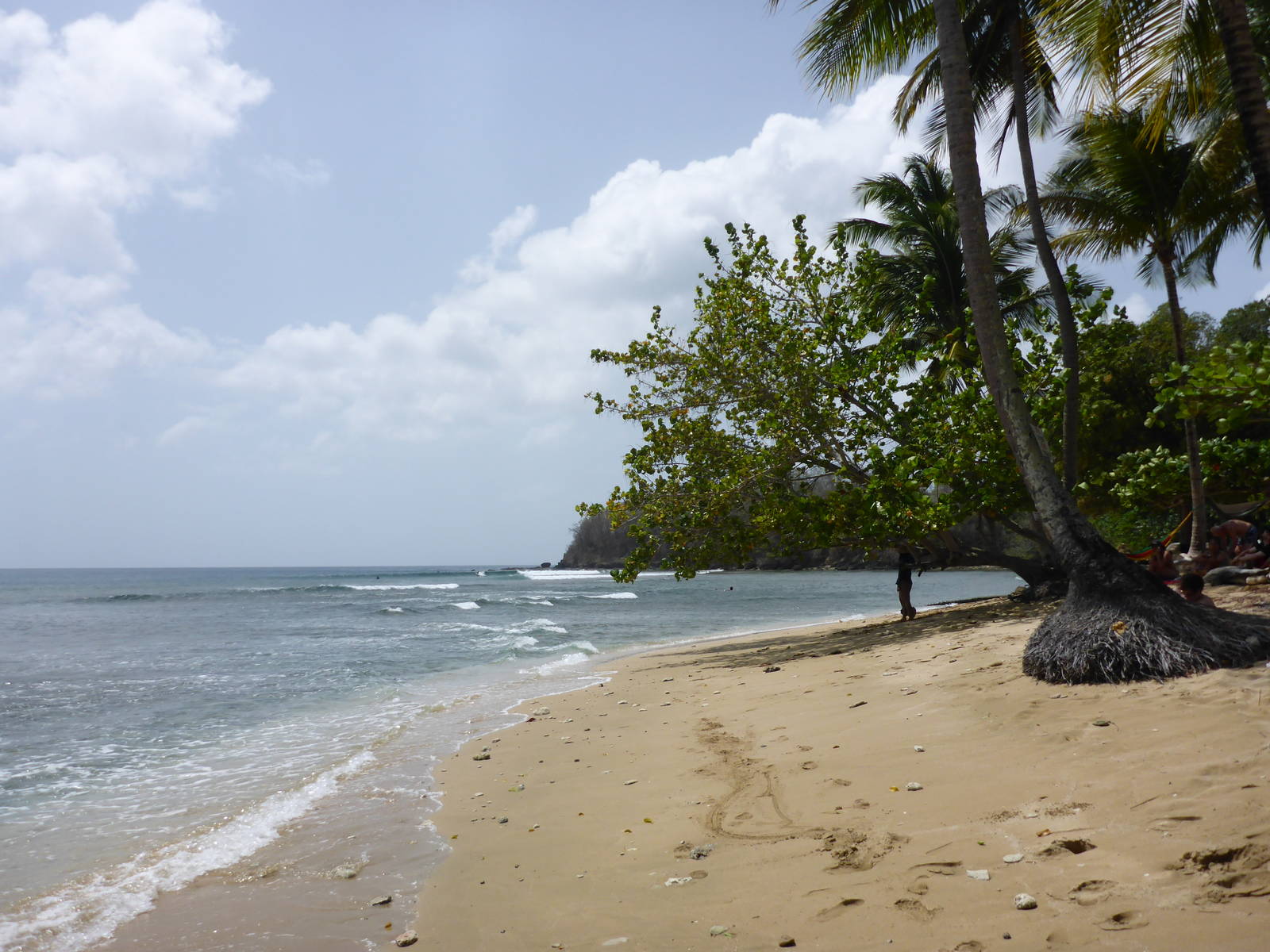 Mount Irvine Bay Destination Trinidad and Tobago Tours, Holidays