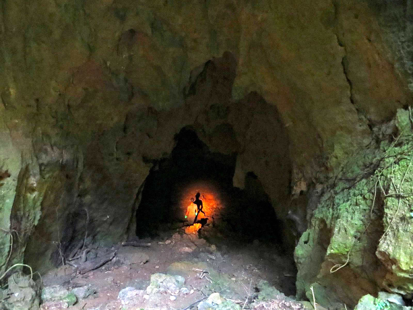 Mount Tamana Bat Caves Destination Trinidad and Tobago Tours, Holidays, Vacations and Travel