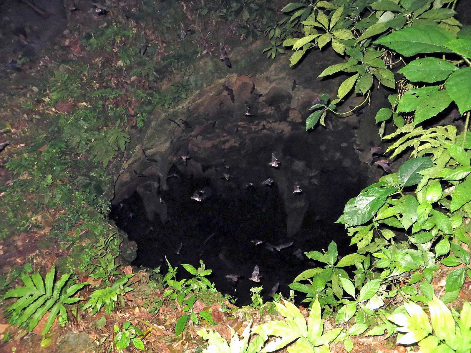 Mount Tamana Bat Caves Destination Trinidad and Tobago Tours, Holidays, Vacations and Travel