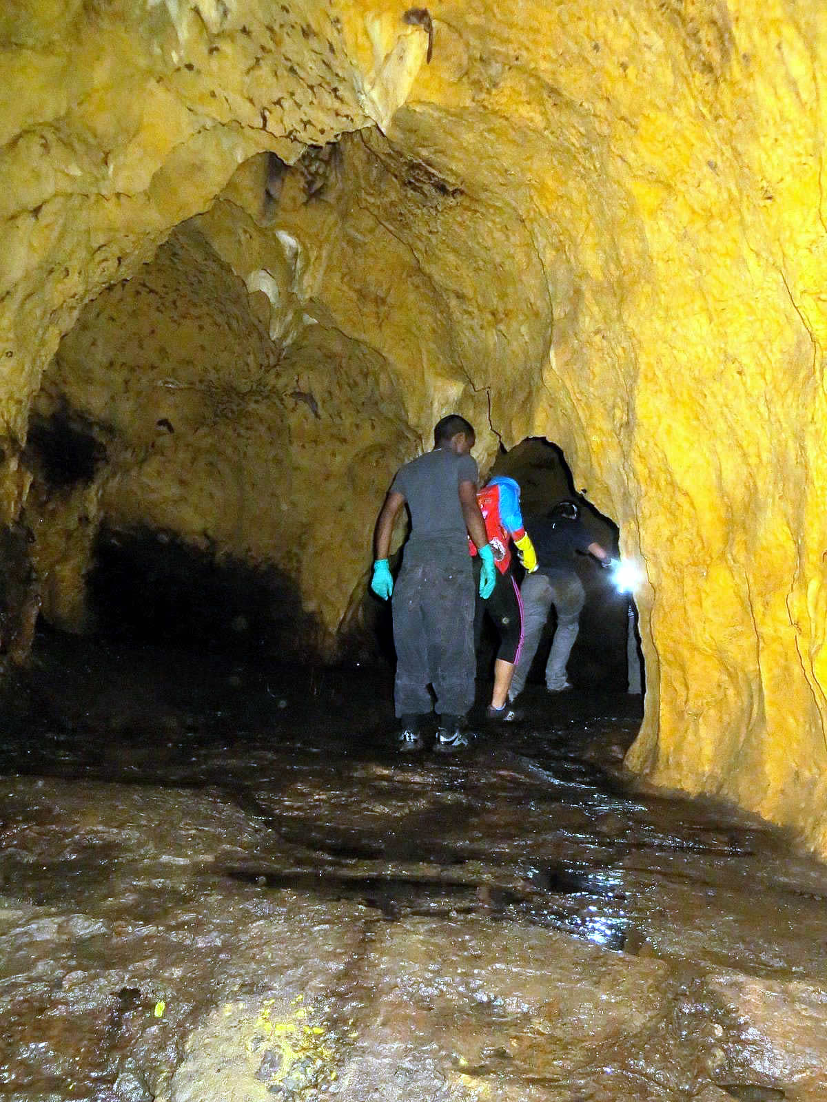 Mount Tamana Bat Caves Destination Trinidad and Tobago Tours, Holidays, Vacations and Travel