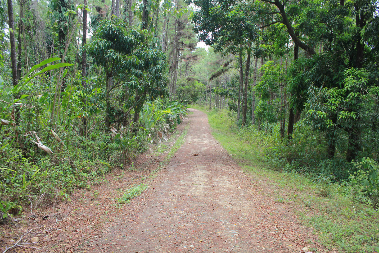 Nature Seekers Destination Trinidad and Tobago Tours, Holidays