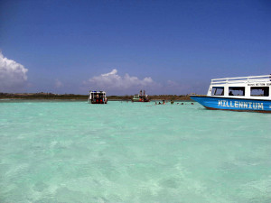 Nylon Pool, Tobago