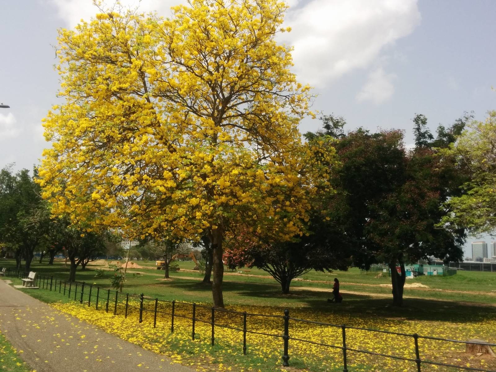 Queens Park South East, Trinidad and Tobago