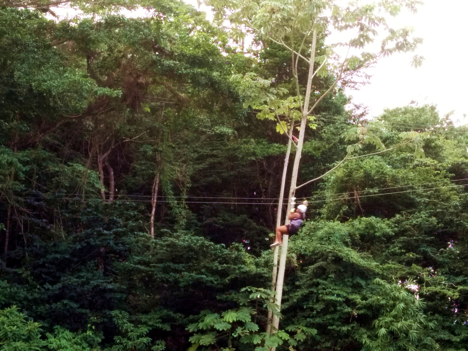 Ziplining in Tucker Valley, Chaguaramas, Trinidad