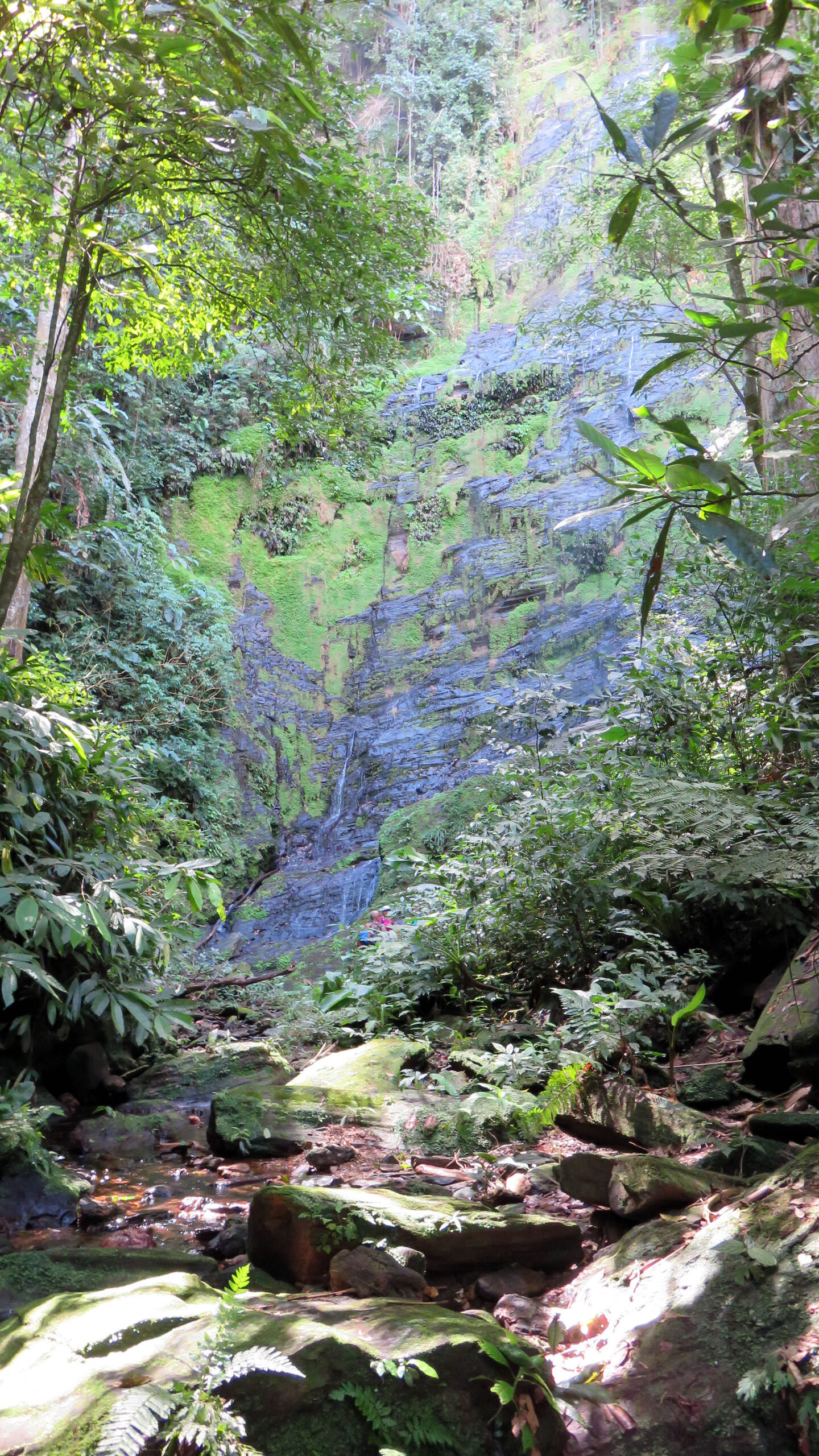 Habio Falls: Destination Trinidad and Tobago Tours Holidays