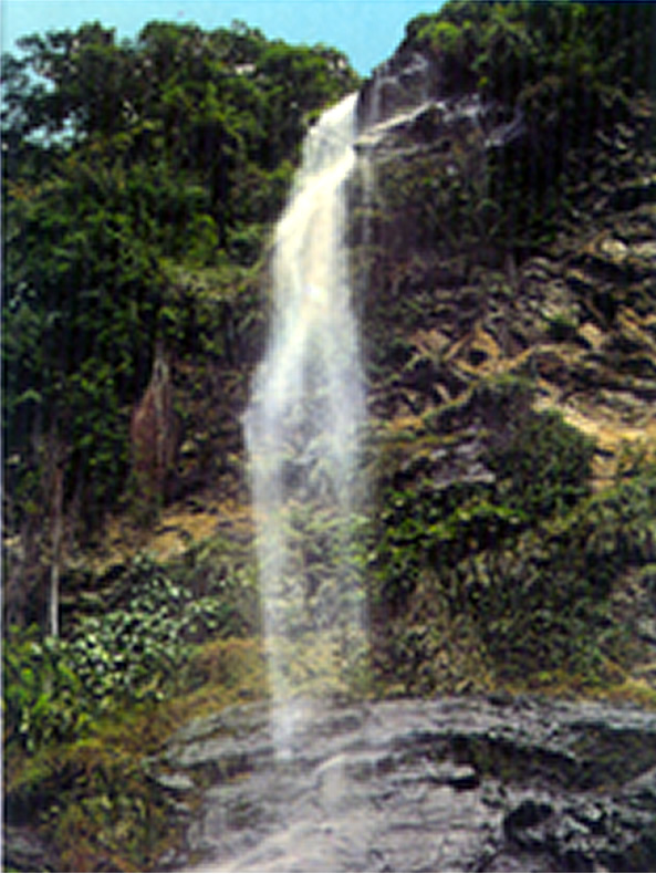 Avocat Waterfall Destination Trinidad and Tobago Tours, Holidays