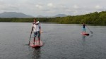 Stand Up Paddleboarding at Caroni Swamp and Bird Sanctuary, Trinidad