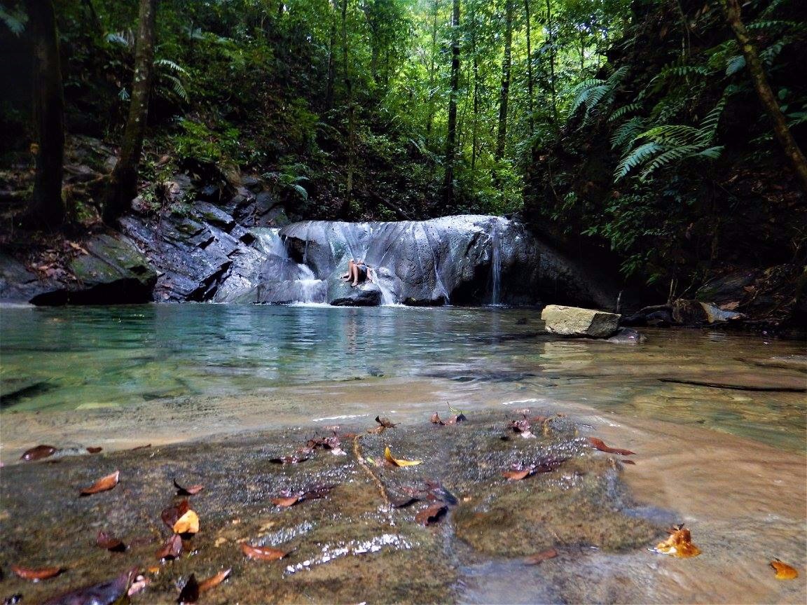 Turure Waterfalls Destination Trinidad and Tobago Tours, Holidays, Vacations and Travel Guide