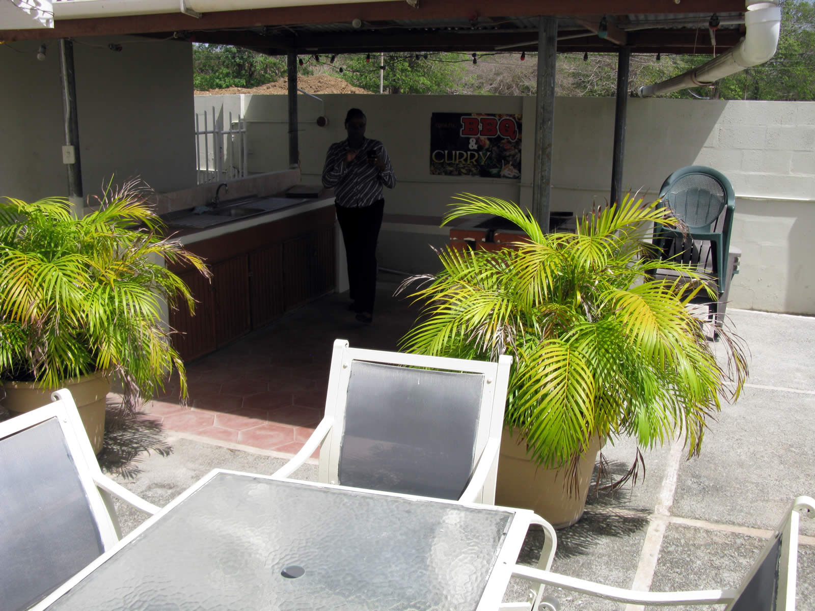 Viola’s Place Destination Trinidad and Tobago Tours, Holidays, Vacations and Travel Guide