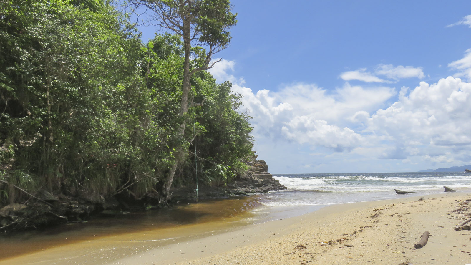 Yarra River: Destination Trinidad and Tobago | Tours, Holidays